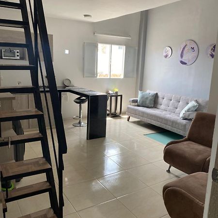 Apartamento En Las Mercedes Tipo Loft Daire Palmira  Dış mekan fotoğraf